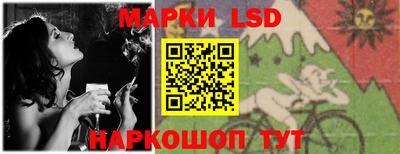 шишки Можга