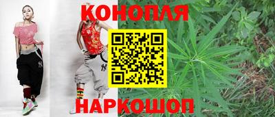 шишки Можга