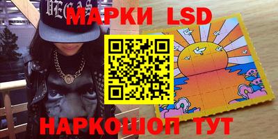 шишки Можга