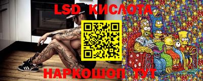 гидропоника Моздок