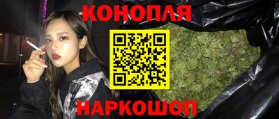 шишки Можга