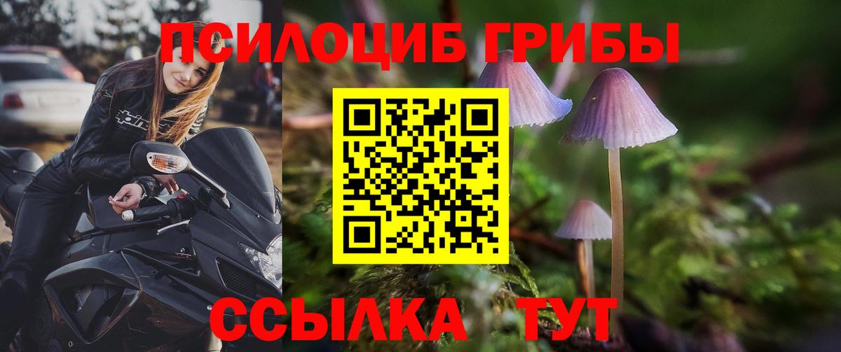 Дзержинск  Псилоцибиновые грибы MAGIC MUSHROOMS  Вход с VPN 